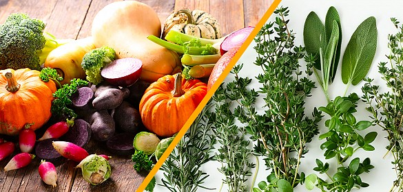 🌱 OFFERTA FAMIGLIE 2026: Weekend Natura & Orto in Maremma